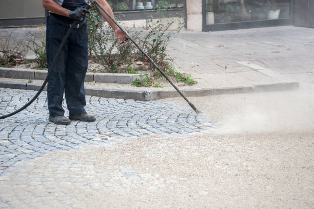 Best Gutter Cleaning and Brightening in Carthage, MS